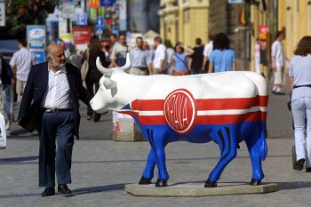 Obrázek