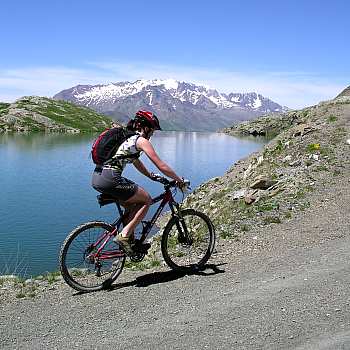 MTB XC