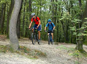 MTB, pevný rám
