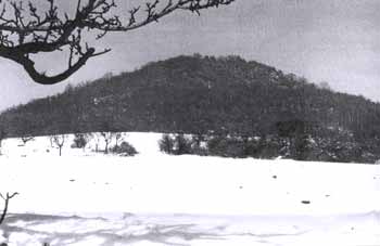 Boreč
