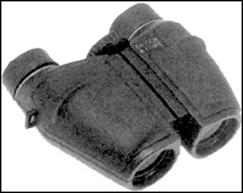 BAUSCH & LOMB Legacy Compact
